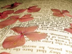 Pressed flower paper wedding